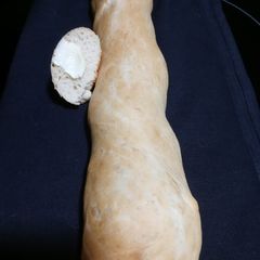 A picture of Pan Cubano / Cuban Loaf Bread.