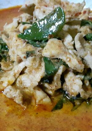 รูปของ พะแนงไก่