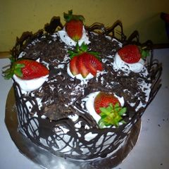 A picture of Black forest. #AuthorMarathon.