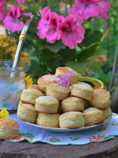 Una foto de Mini scones de naranja y yogur🤓