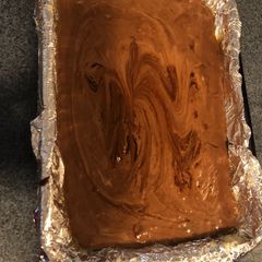 A picture of Fudge.