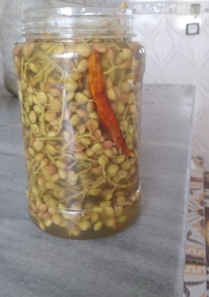عکسی از دستور ترشی بنه شک یا کلخونگ (بنه نارس)