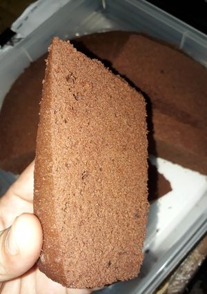 Foto resep Bronise putih telur