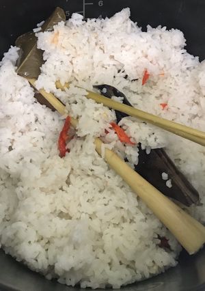 Foto resep NASI UDUK GURIH SIMPEL (RICE COOKER)