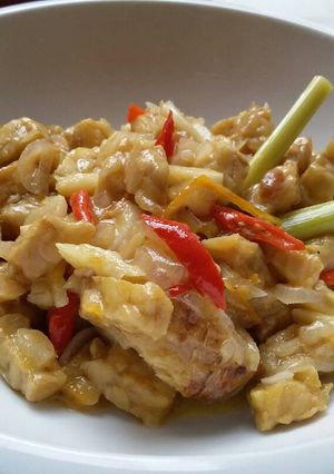 Foto resep tempe keket santan