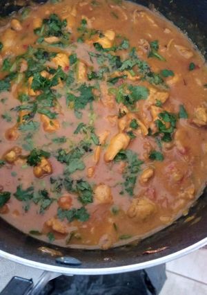 A picture of Chicken curry.