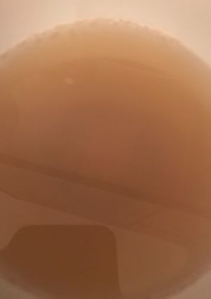 صورة لوصفة تحضير مرق السمك