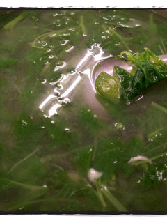 吻仔魚莧菜湯(低醣生酮餐)(家常好湯)(簡單料理) 的食譜成品照片
