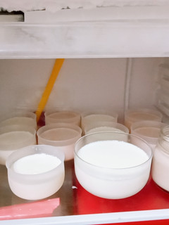 鮮奶酪&可可酪(簡單,不用怕失敗) 的食譜成品照片