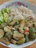 Brown Rice Noodles with Green Curry Chicken in Milk