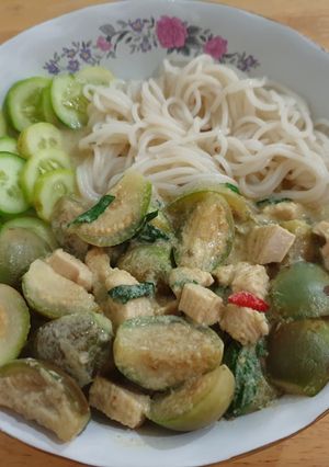 รูปของ ขนมจีนข้าวกล้อง แกงเขียวหวานไก่นมจืด