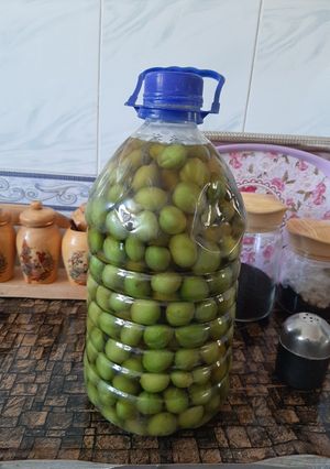 عکسی از دستور اینم ترشی آلوچه من
