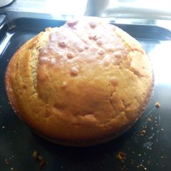 A picture of Vanilla sponge cake.