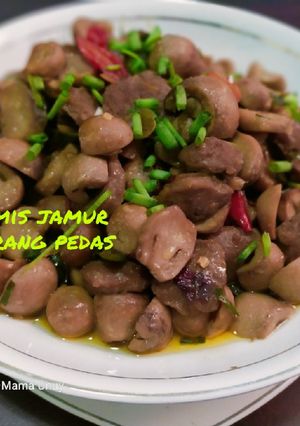 Foto resep Tumis jamur merang pedas