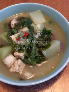 Foto resep Sayur lodeh fiber creme