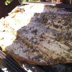 Una foto de Pescado de río a la parrilla (boga)