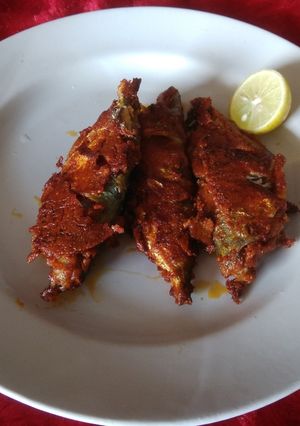 A picture of Bangda(mackerel)fry.