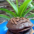Dorayaki Chocolatos