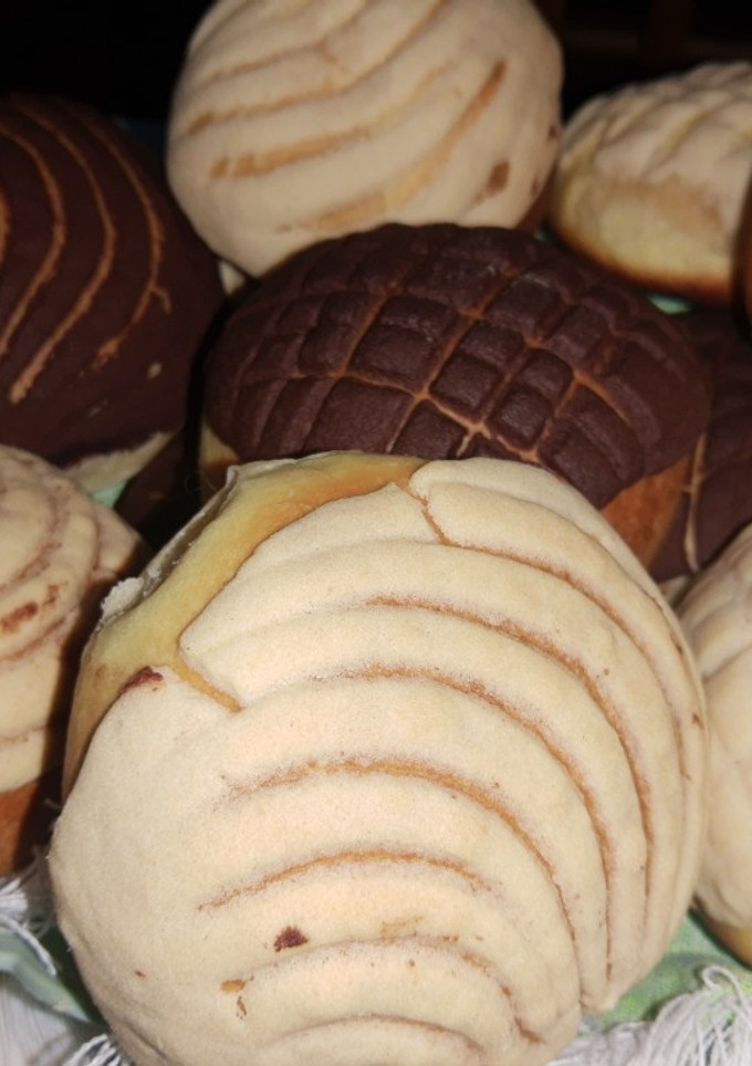 Una foto de Conchas