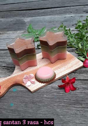 Foto resep Puding Santan Stroberi, Pandan, Coklat