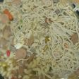 Seblak mie bakso makaroni