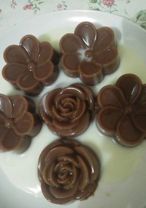 Foto resep Puding Coklat Vla