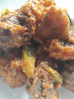 A picture of Gizzard dodo.