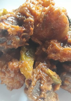A picture of Gizzard dodo.