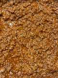 Venison Sloppy Joes