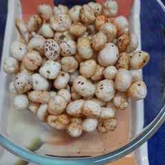 A picture of Masala Makhana.