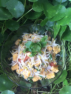 Foto resep Tumis Tauge Tempe (tumisan simple)🌱🌱🌱