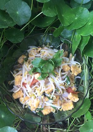 Foto resep Tumis Tauge Tempe (tumisan simple)🌱🌱🌱