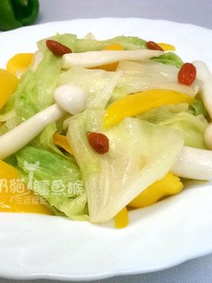 [廚房戰記]-高麗菜炒枸杞菇 的食譜成品照片