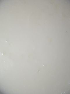 A picture of Rice Pudding.