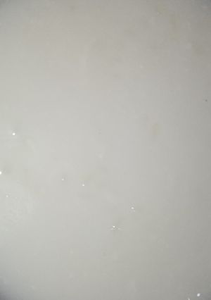 صورة لوصفة ارز بلبن