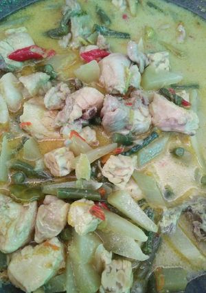Foto resep Ayam santan sayur