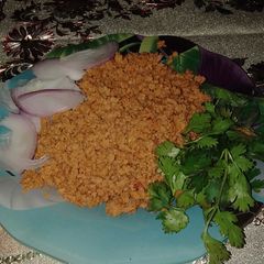 A picture of Bihari qeema.