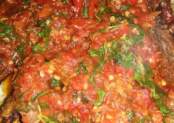  Bagaimana cara membuat Balado lele daun kemangi dijamin nagih banget