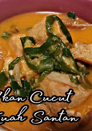 Foto resep Ikan cucut kuah santan