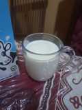 Yogurt Plain Home Made