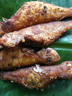 சங்கர மீன் வருவல் செய்முறை முக்கிய புகைப்படம்