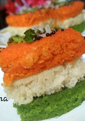 A picture of Tiranga Rava Dhokla.