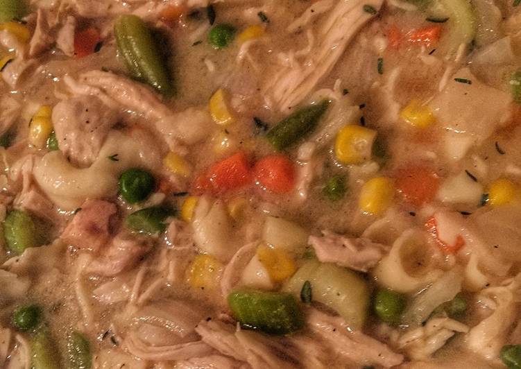 How to Make DOC Chicken Stew in 33 Minutes for Family