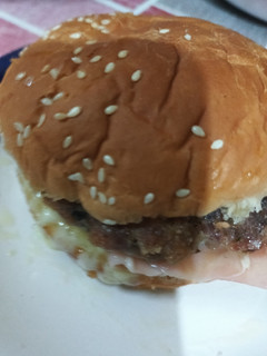 Una foto de Hamburguesas de carne de cerdo y vacuno (10)