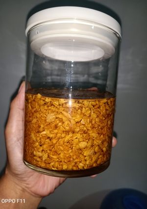 Foto resep Garlic Oil