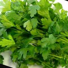 3 طرق مختلفة للحفاظ ع الاعشاب الورقية 🌿🍀🍃-レシピのメイン写真