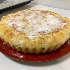 A picture of Phyllo chicken pie.