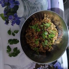 A picture of Oats upma.