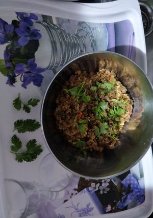 A picture of Oats upma.