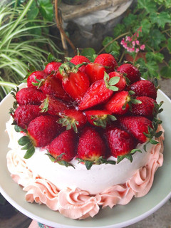 Una foto de 🍰Tarta nata y fresa🍓